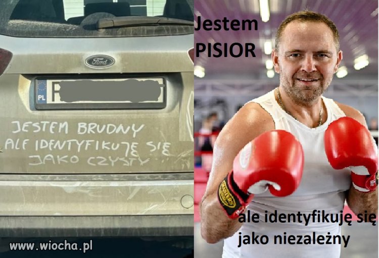 Niezależny