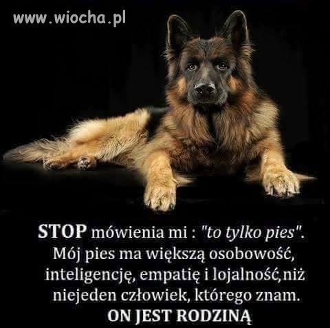 Mój pies moja rodzina! 