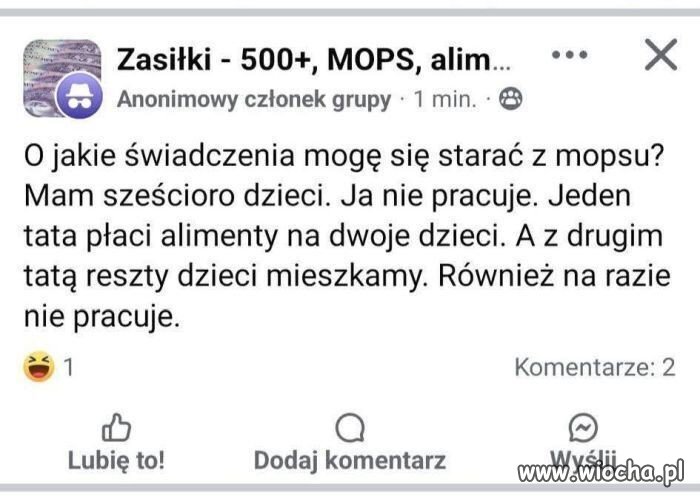 Kasa płynie 