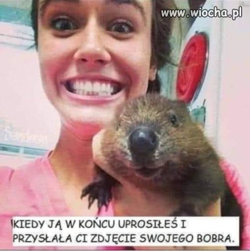 Pokazała bobra