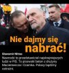 Obywatelski sługus PISu