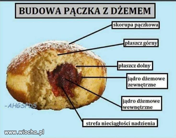 Wiedza na Czwartek.