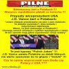 W dupę PiSowcy wchodzą mu beż wazeliny...