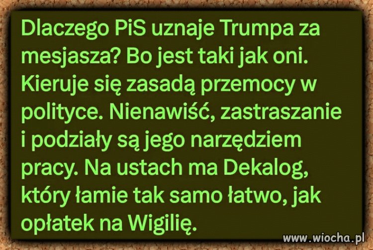 Tylko tyle