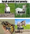 No przecież to logiczne,