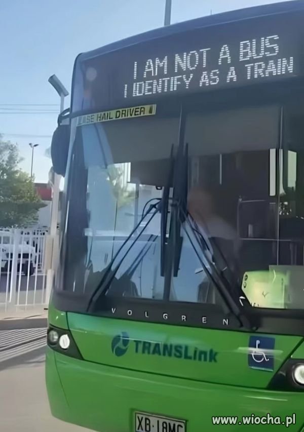 Identyfikacja. 