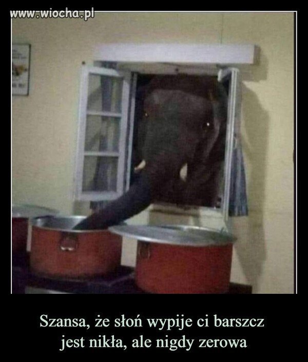 Nigdy nie zerowa