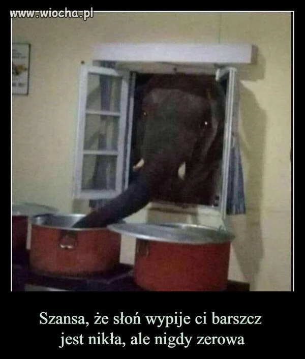 Nigdy nie zerowa
