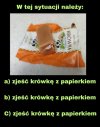Odpowiedź "A" 