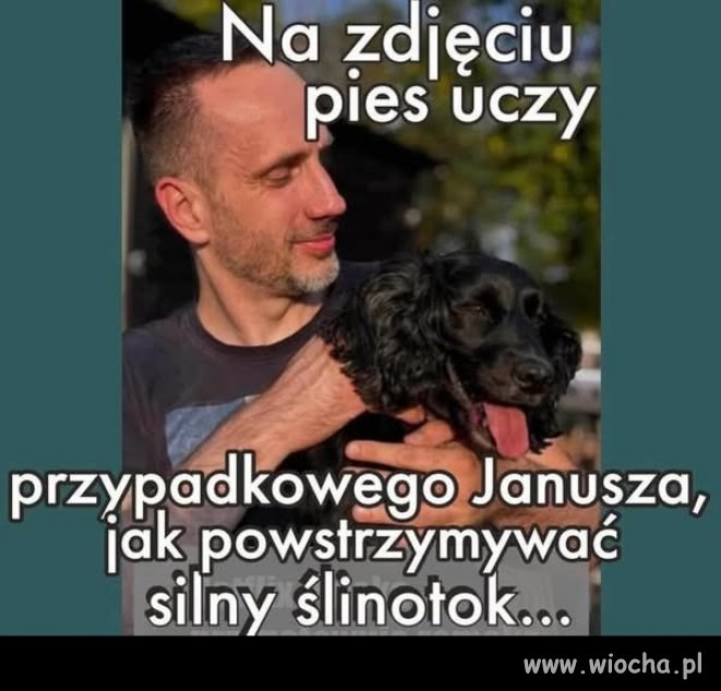 Ciekawe czy się Janusz w końcu nauczy ...