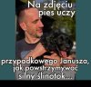 Ciekawe czy się Janusz w końcu nauczy ...