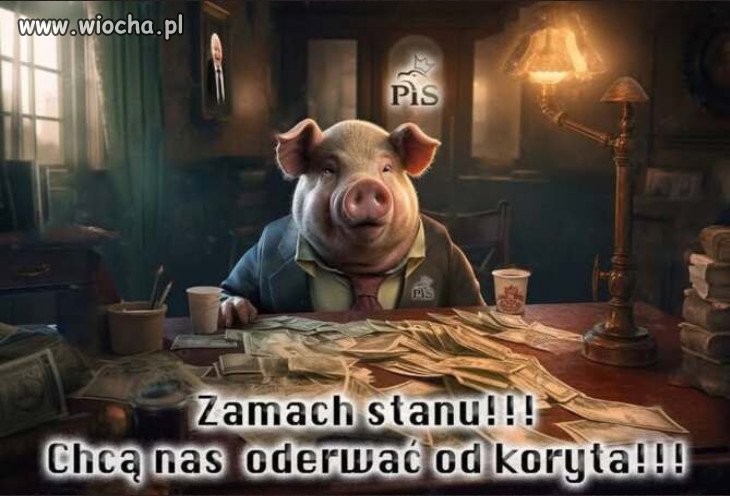 Nawet świnia jak się nażre to odejdzie od koryta.
