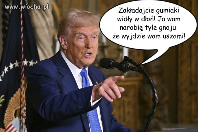 Lepszemu sortowi Polaków nie przeszkadza, 