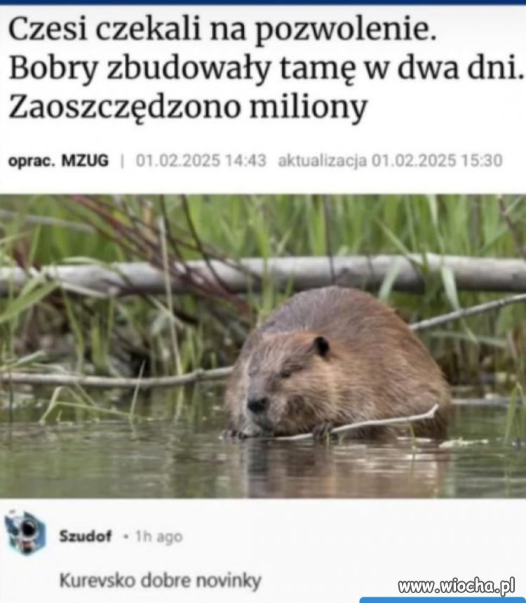 Jak to tak