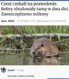Jak to tak
