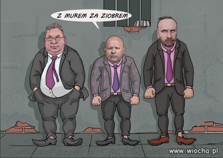 A ziobro za murem. Będzie! Wkrótce!