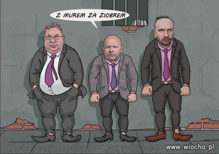 A ziobro za murem. Będzie! Wkrótce!