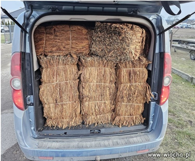 47latek z Włocławka i rutynowa kontrola.