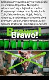 To niedopuszczalne aby świnie poić piwem !