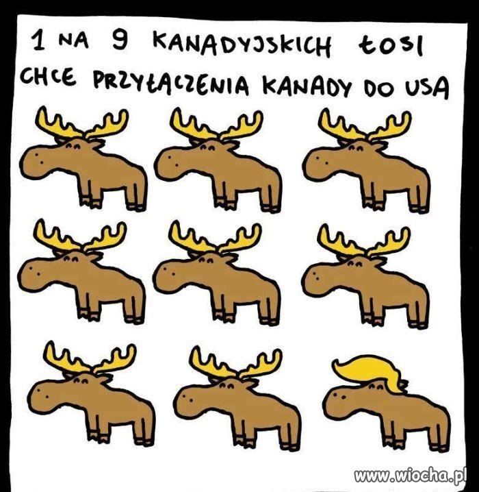Amerykańsko-kanadyjska statystyka