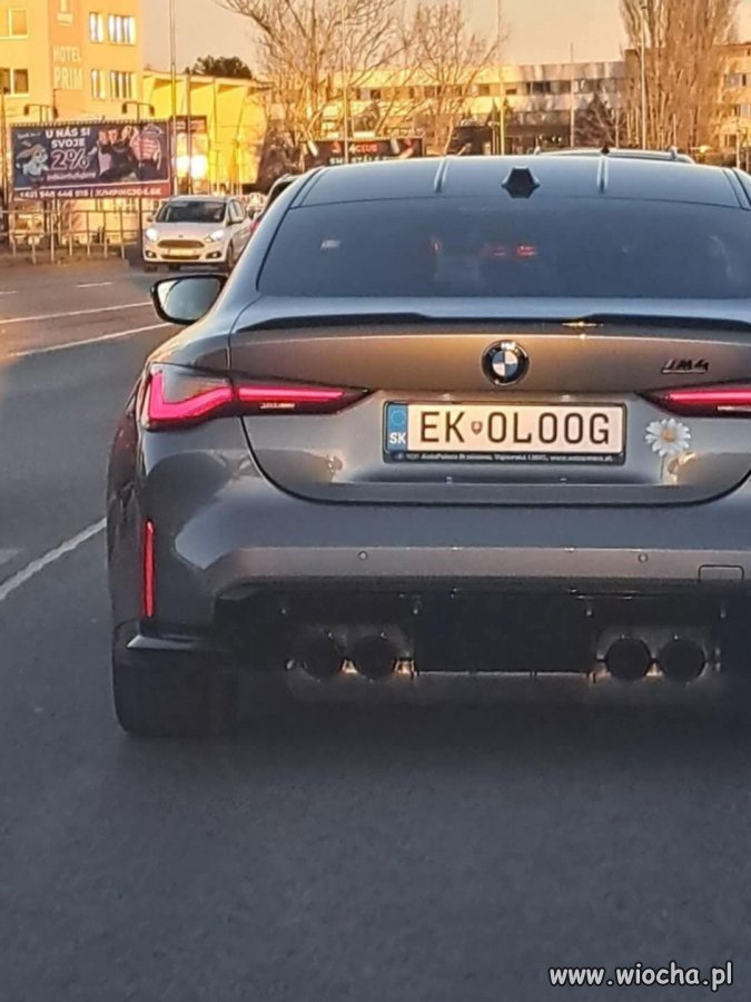 Ekolog