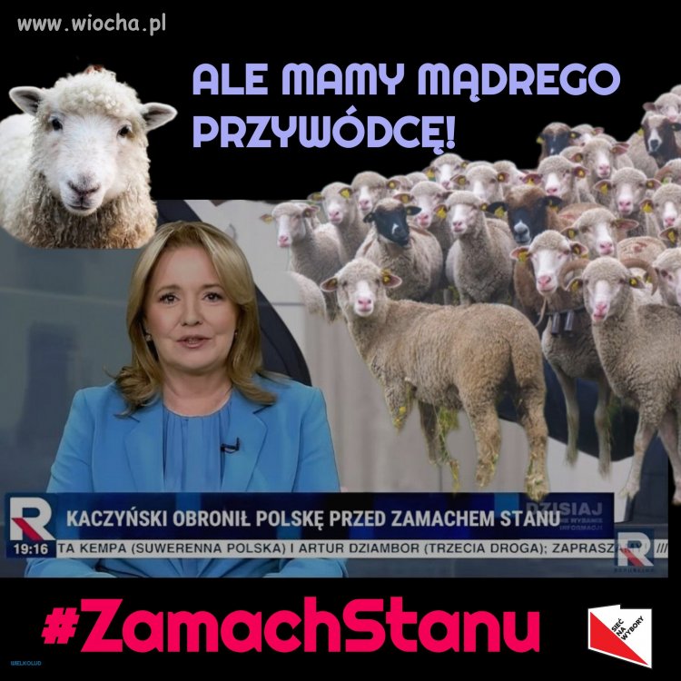 Naprawdę bardzo liczne jest grono osób,