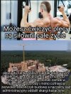 Cała Polska w pigułce 
