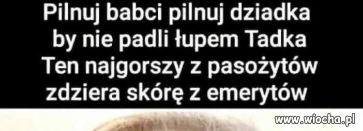 Tadek 