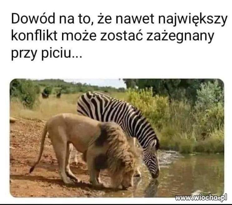Sprawa jest jasna 