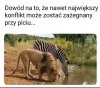 Sprawa jest jasna 