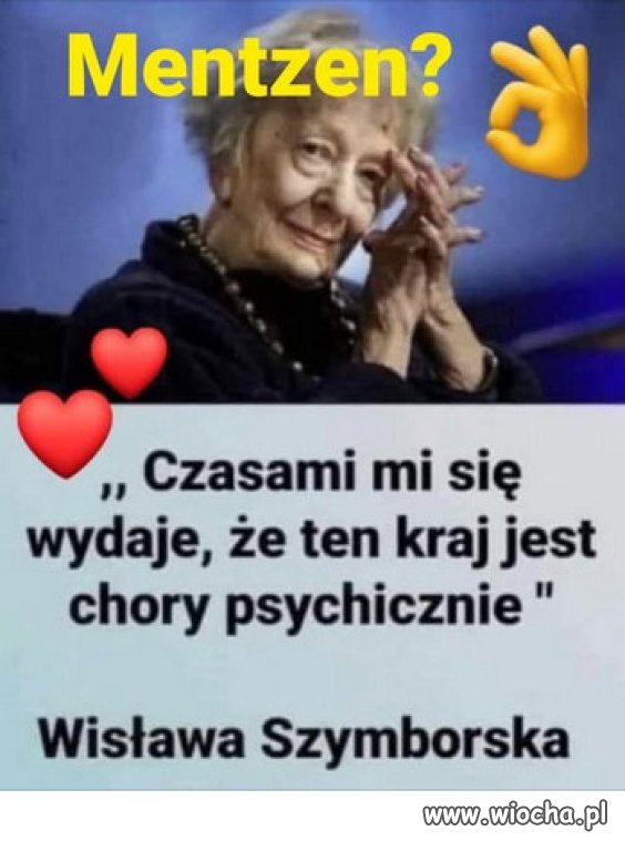 Mentzen i Nawrocki... Głupi i Głupszy, Kaczyńskiego!
