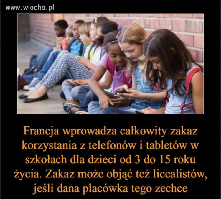 Kto popiera taki zakaz? 