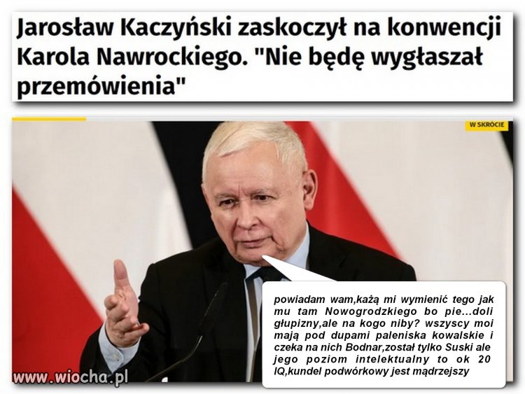 Wybitna