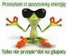 Tak bez polityki 