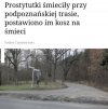 Miasto sprzyja prywatnym przedsiębiorcom