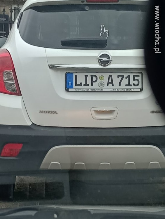 Rejestracja jako antyreklama 