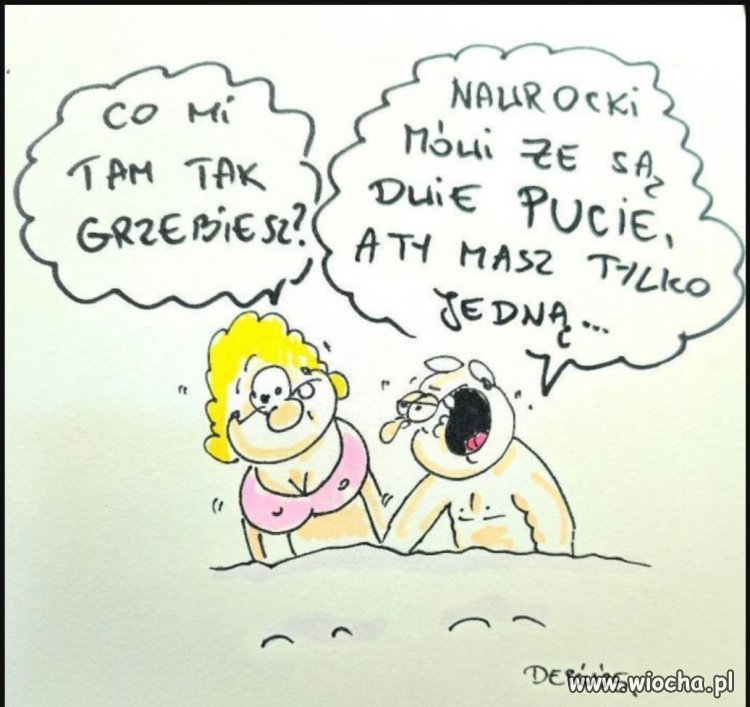 Co by odpocząć od polityki 