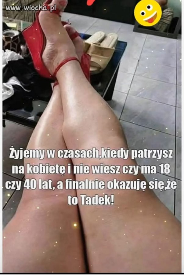 Tadek