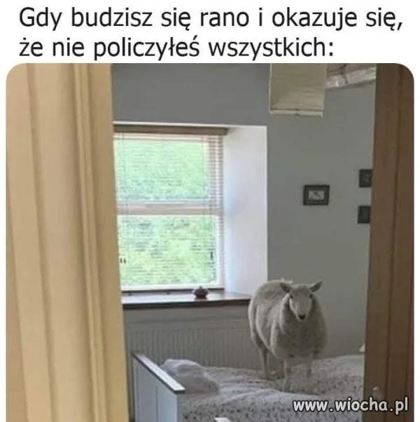 Sposób na sen