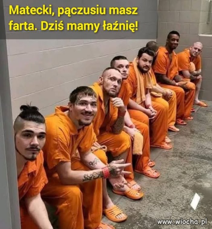 Dobrze trafił ?