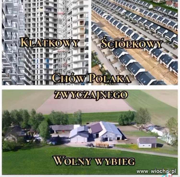 Heheszki 