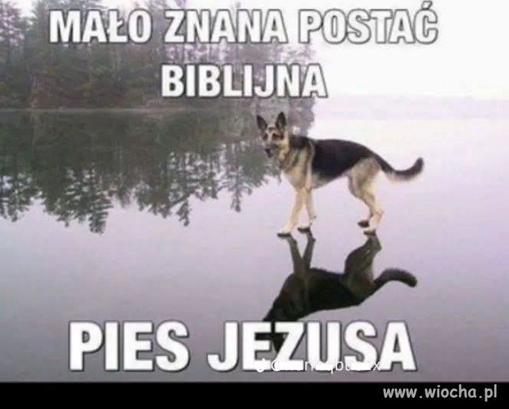 Słowo na niedzielę 