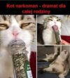 Mama mu nie powiedziała 
