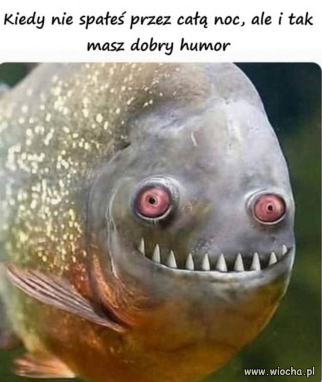 Kto ma małe dzieci 