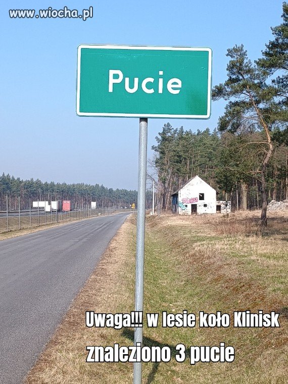 1. męska