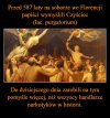 Każdy diler wie, że podstawą jest dobry marketing 
