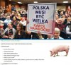 Ale kopyrajterowi to pan Lolek