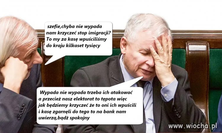 Pisiorstwo