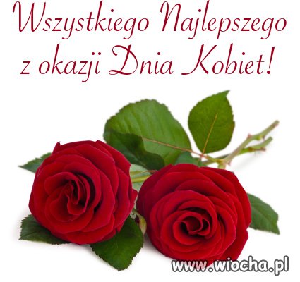 Dzień drugiej puci
