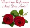 Dzień drugiej puci